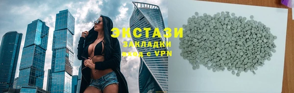 индика Горно-Алтайск
