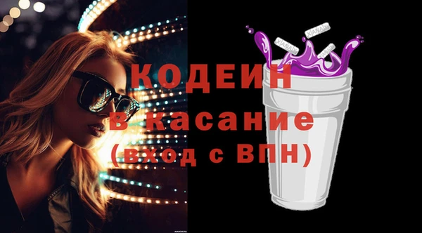 индика Горно-Алтайск