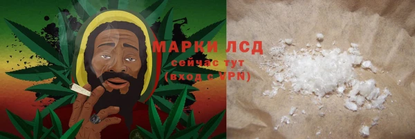 индика Горно-Алтайск