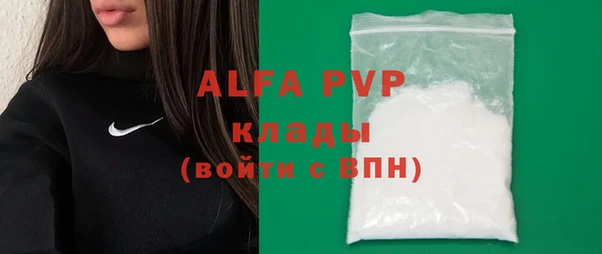 индика Горно-Алтайск