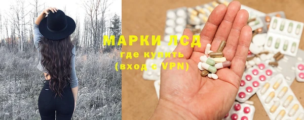 индика Горно-Алтайск