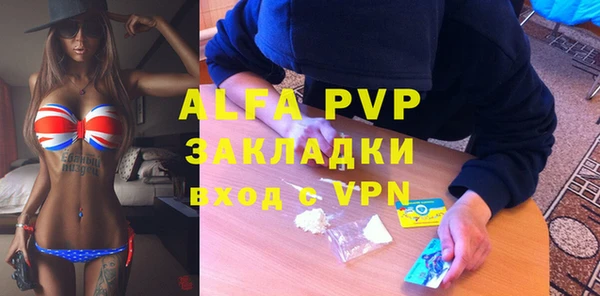 индика Горно-Алтайск