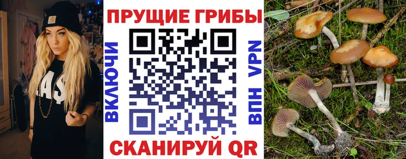 магазин    Изобильный  Галлюциногенные грибы мухоморы 